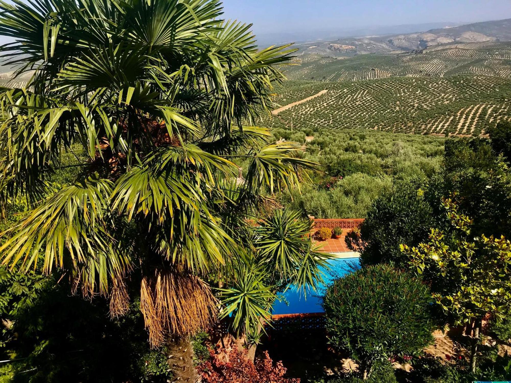 La Finca Mercedes La Iruela Extérieur photo